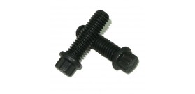 Bolts  5/16" UNC 12 Point